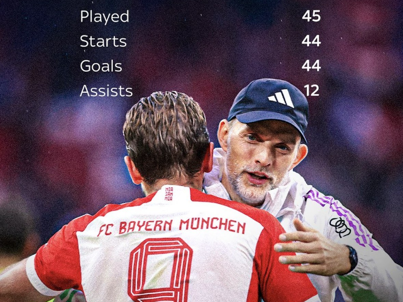 仅为球队赢 仅为球队赢