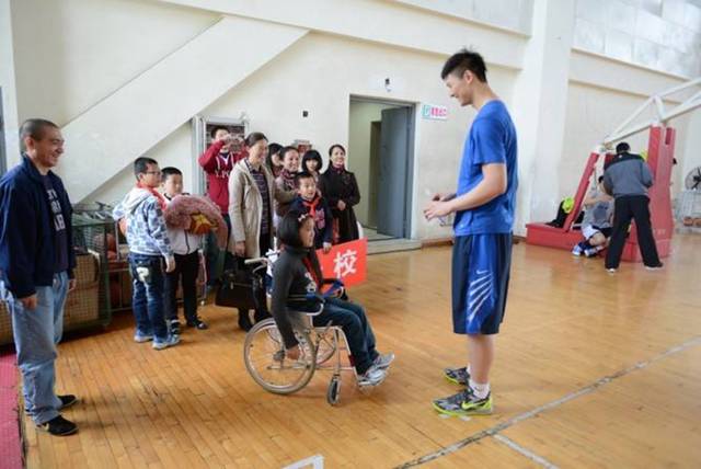 的观赏性 的观赏性