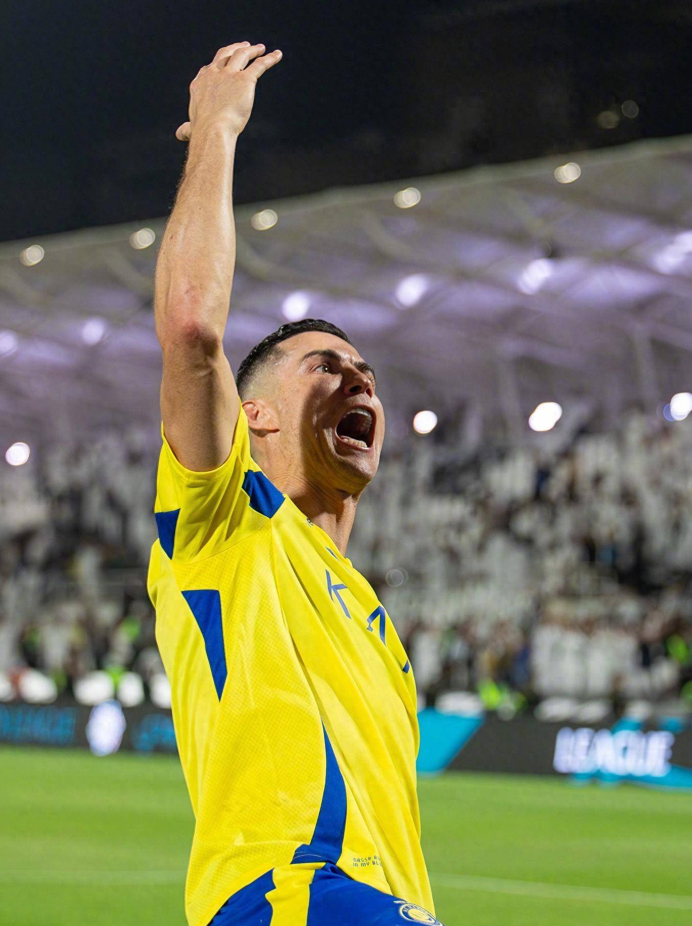 呈现出典型 呈现出典型